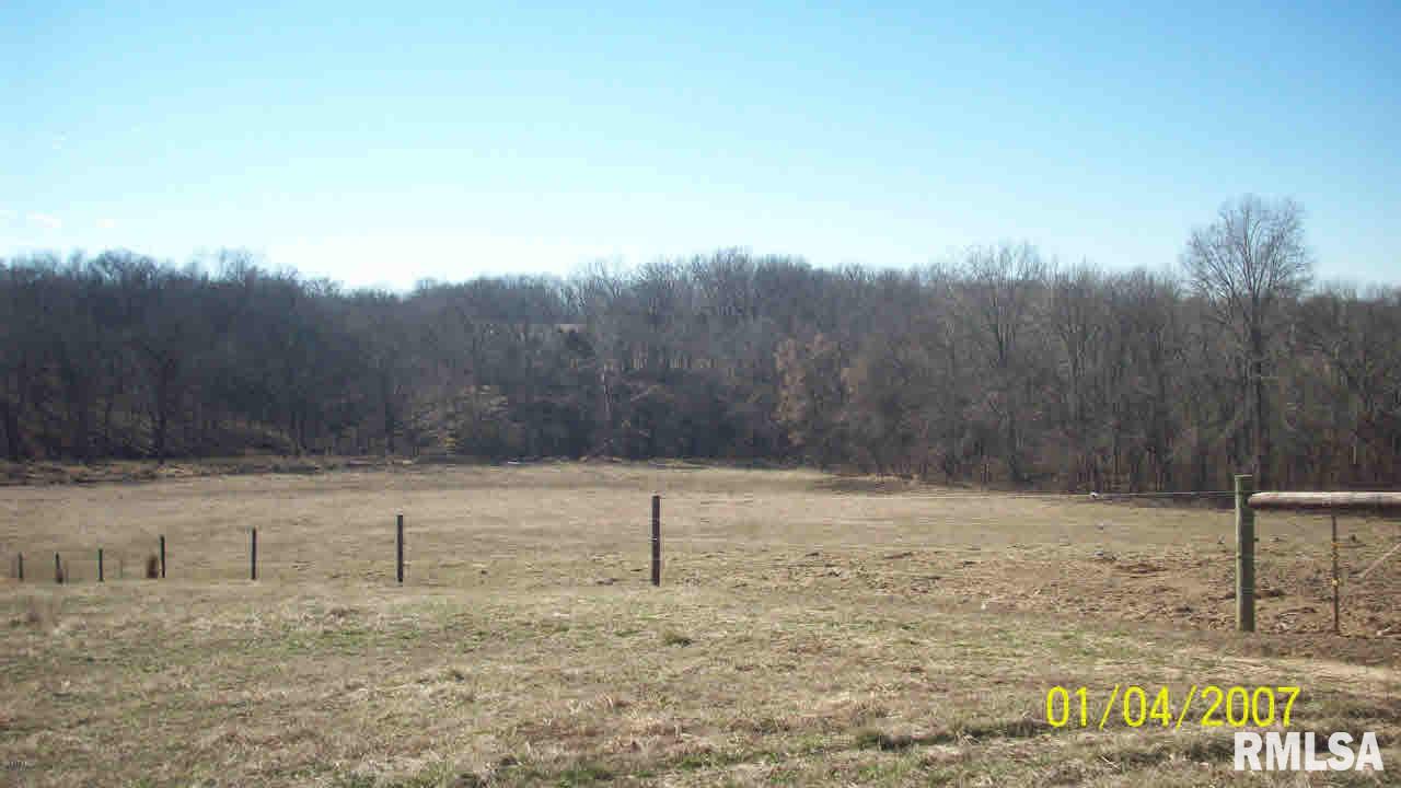 4586 Ballpark Road Steeleville, IL 62288 - Photo 8 of 15