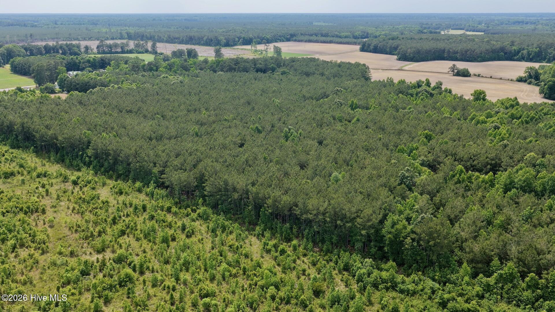 0 Off 1040d Republican Road Windsor, NC 27983 - Photo 2 of 27 2
