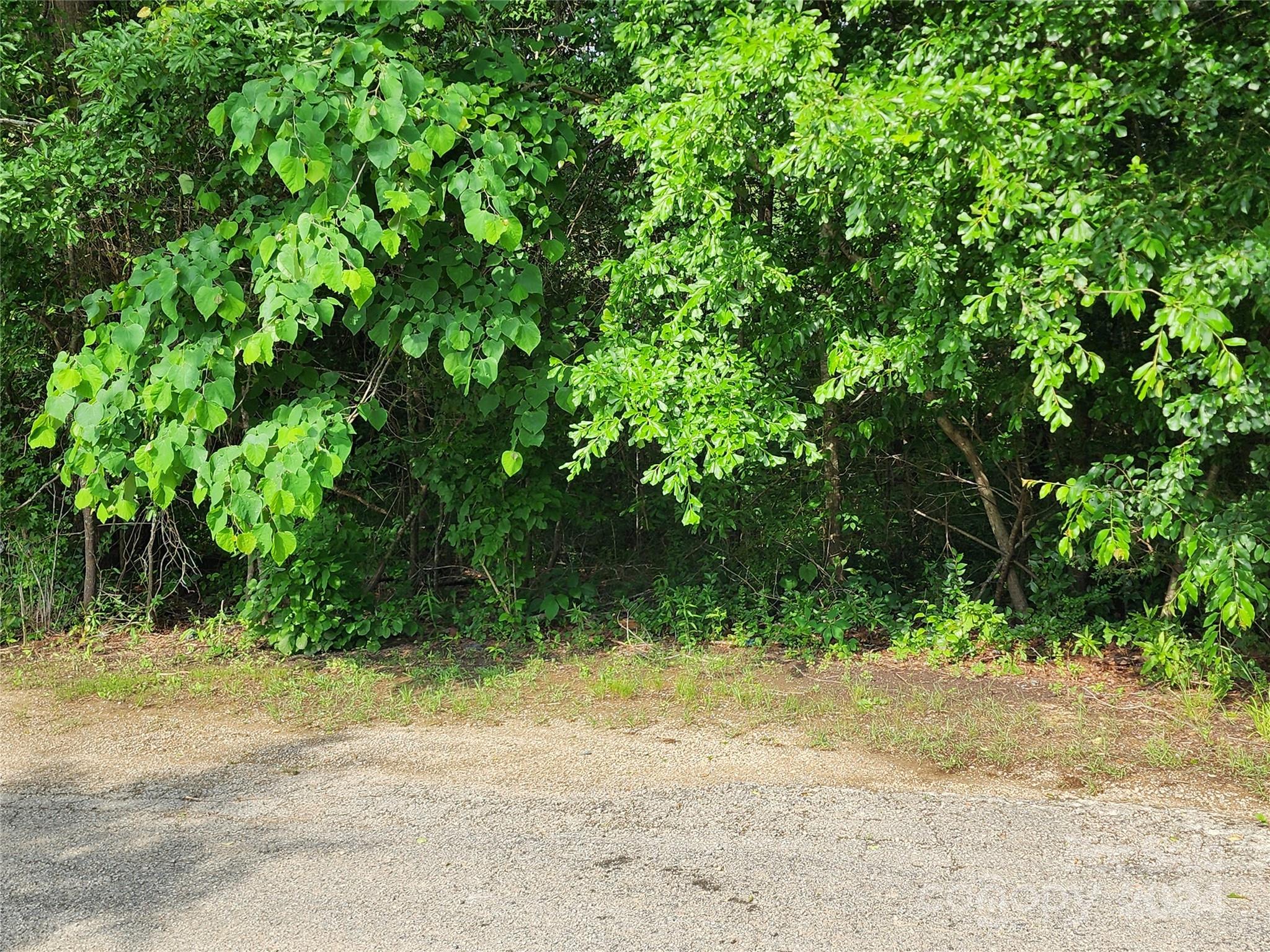 105 State Rd S-29-424 Lancaster, SC 29720 - Photo 3 of 5 a view of a yard with plants and trees