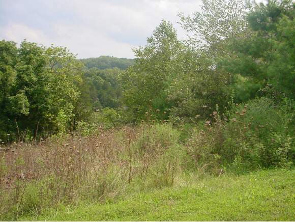 Lot 7 Ledgestone Branson Reeds Spring, MO 65737 - Photo 1 of 1 Primary Photo