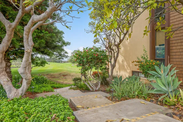 a view of a garden with a tree