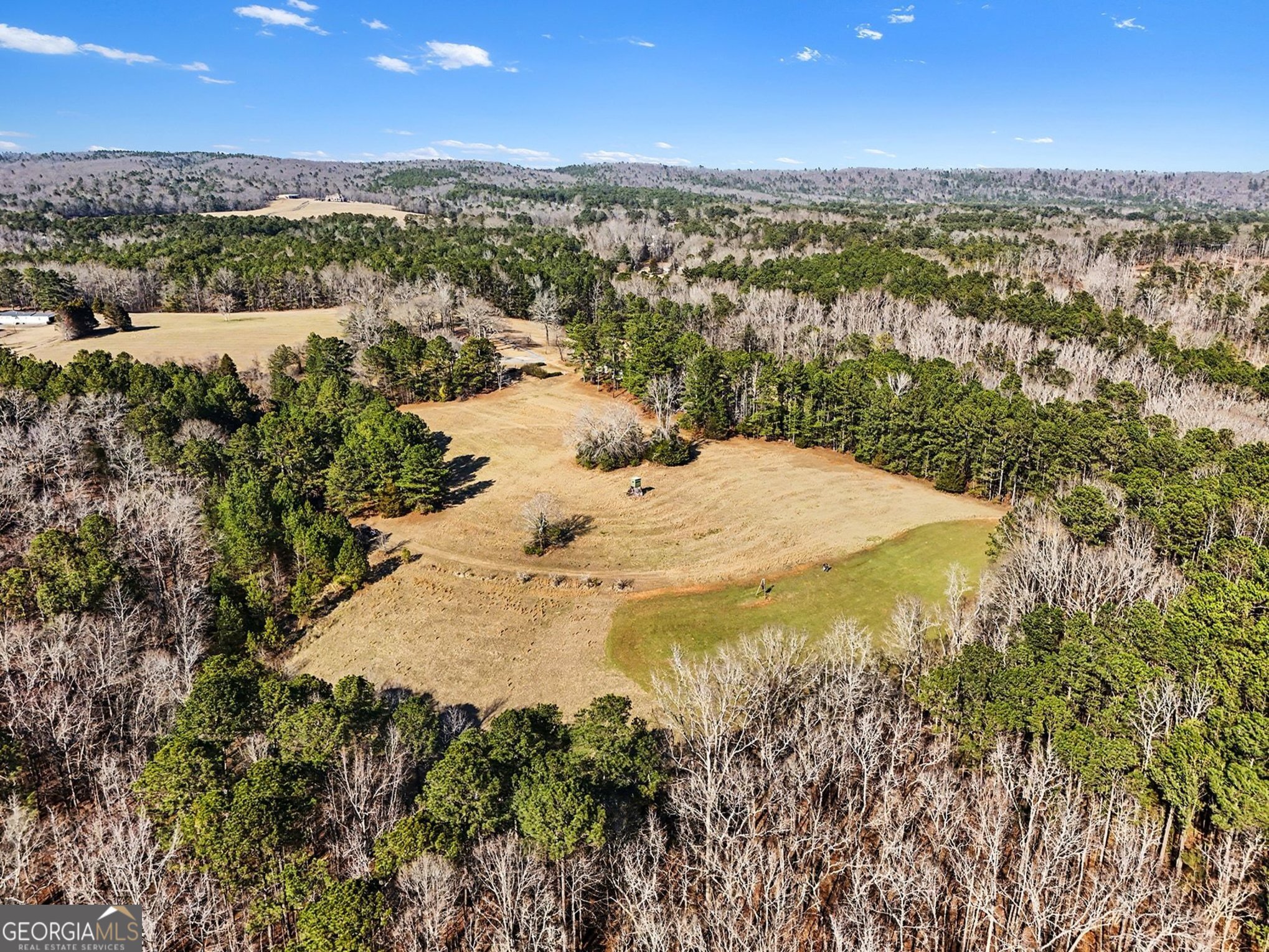 0 Vineyard Road Thomaston, GA 30286 - Photo 5 of 40
