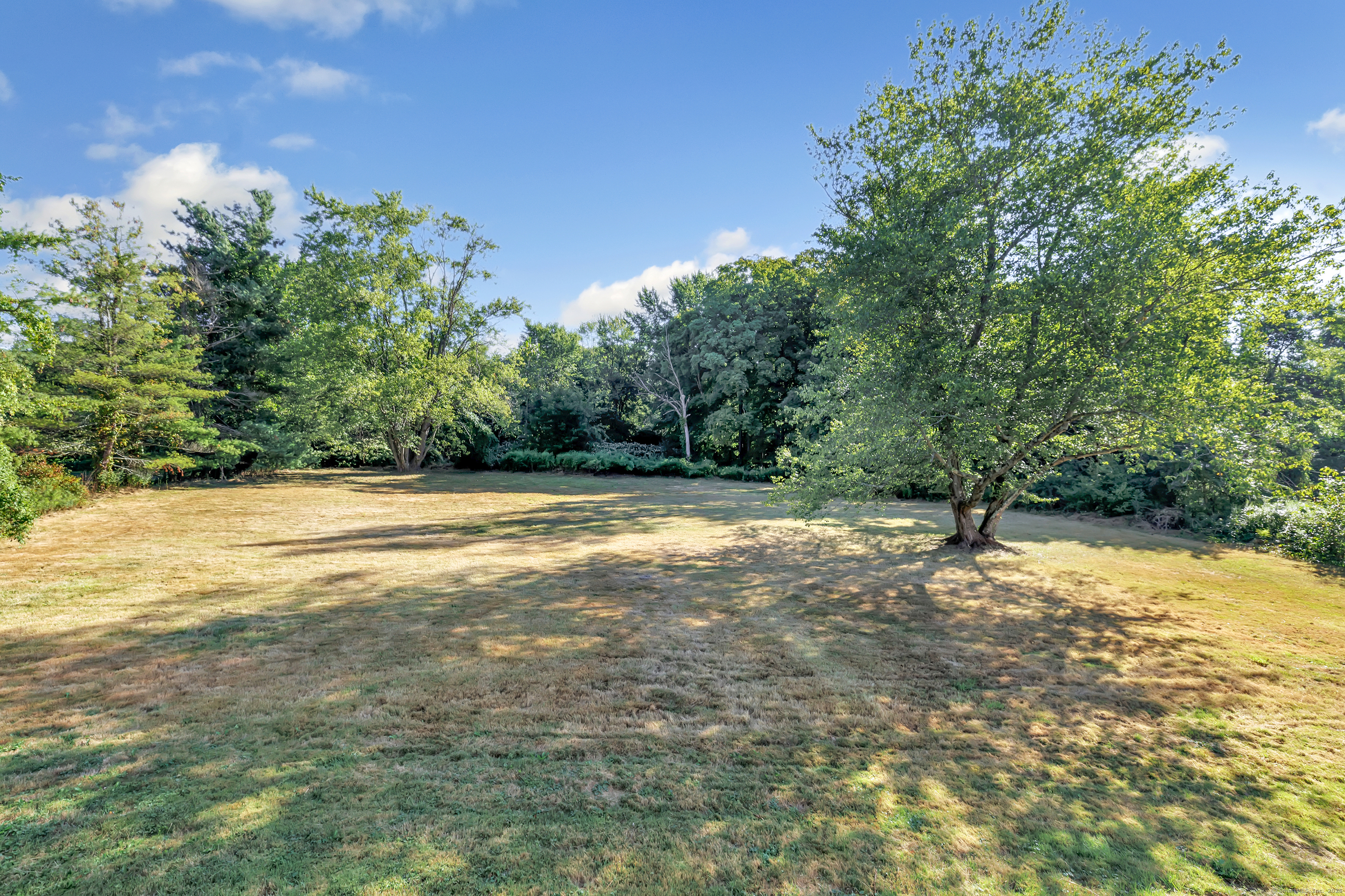 38 Pine River Road North Haven, CT 06473 - Photo 7 of 38 a view of a yard with a tree