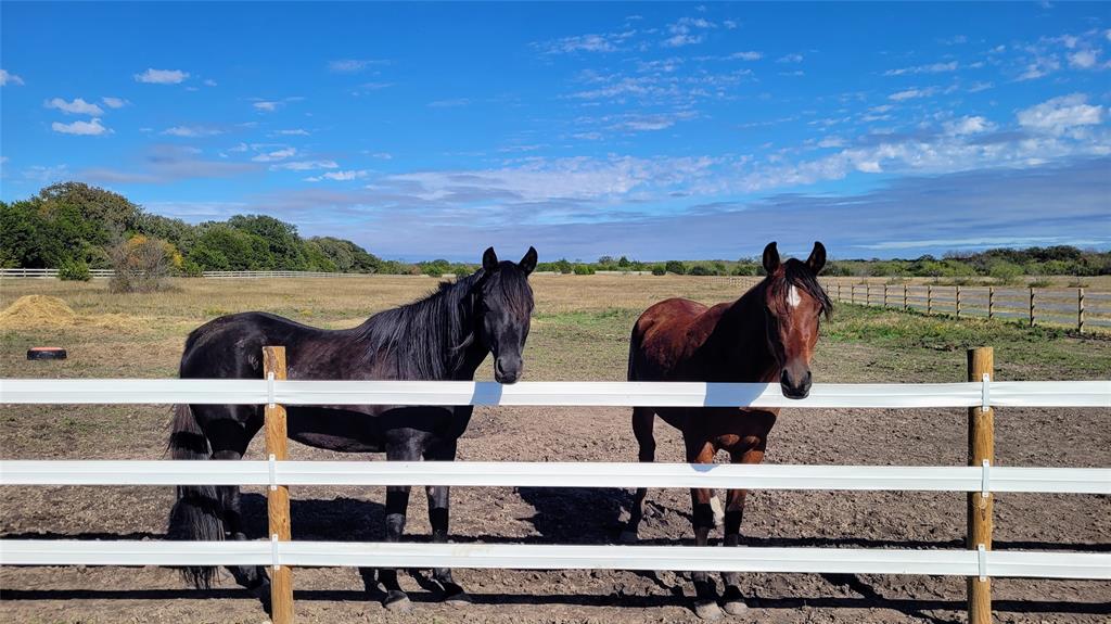 3164 Clater Powell Road Waco, TX 76705 - Photo 15 of 40 a view of balcony and porch with seating space