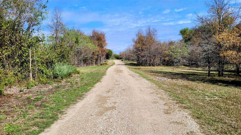 3164 Clater Powell Road Waco, TX 76705 - Photo 2 of 40 a view of a yard with plants and trees