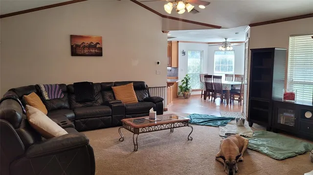 a living room with furniture rug and window