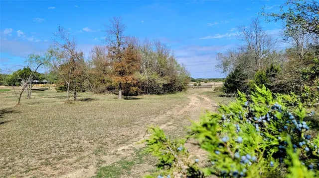 a view of a yard with a tree