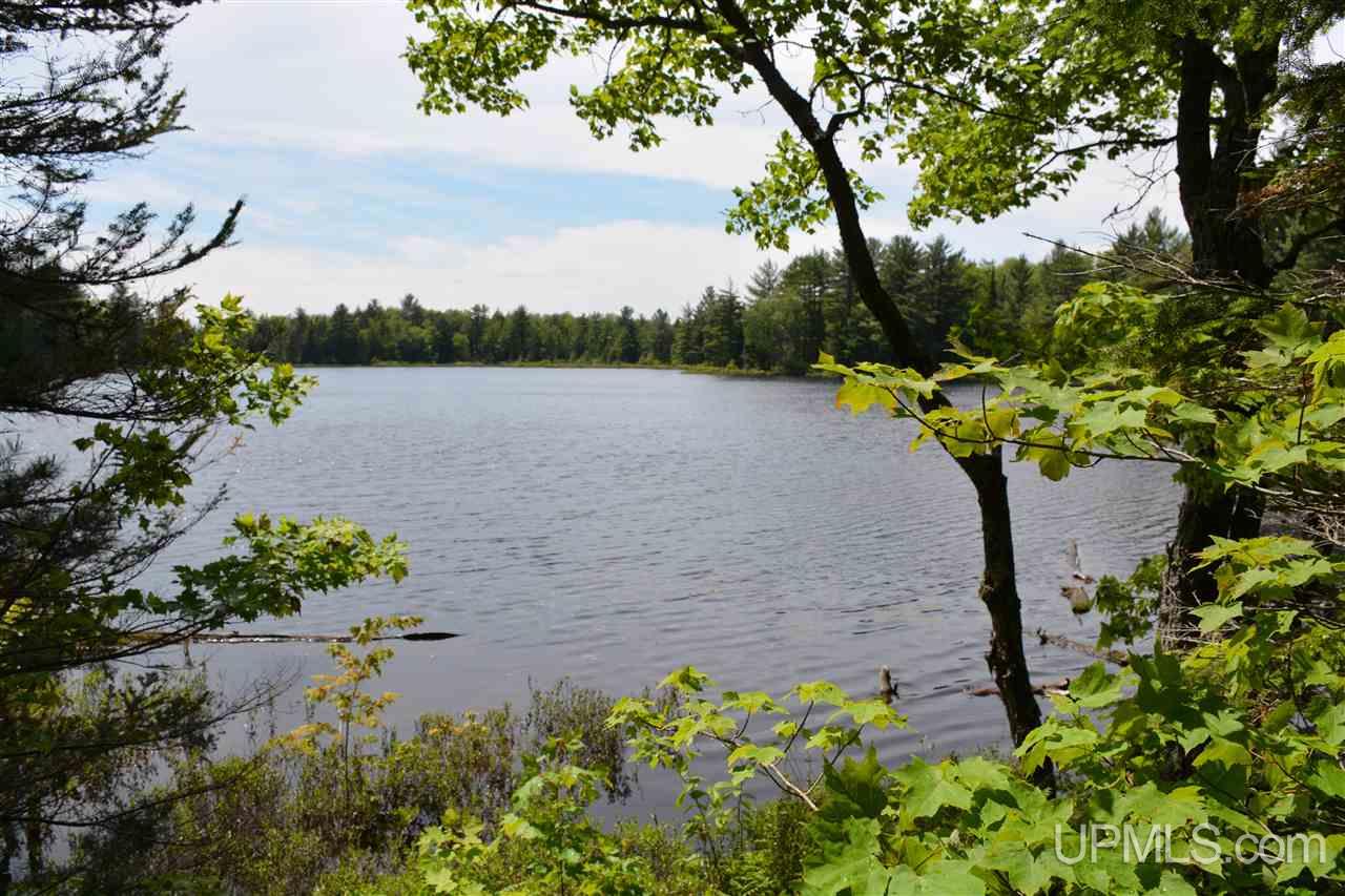 0 H58 Road Shingleton, MI 49884 - Photo 10 of 12