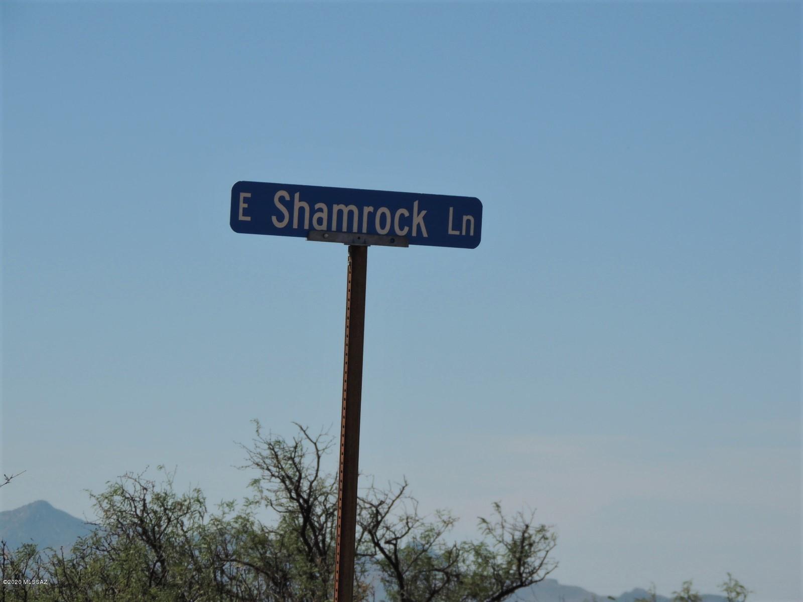 40 Ac S Kuyendall & Shamrock Road, Unit 8 Pearce, AZ 85625 - Photo 5 of 18