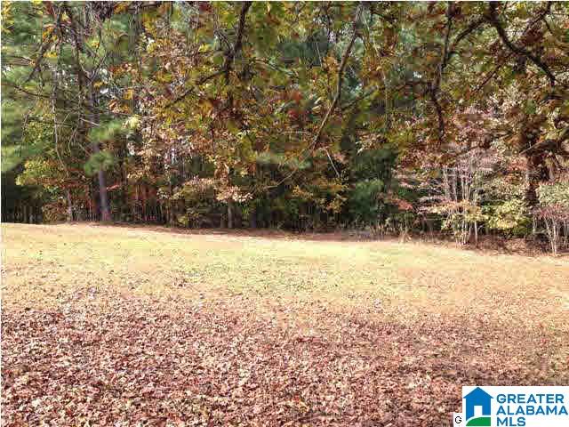 115 County Road 207 Muscadine, AL 36269 - Photo 15 of 16