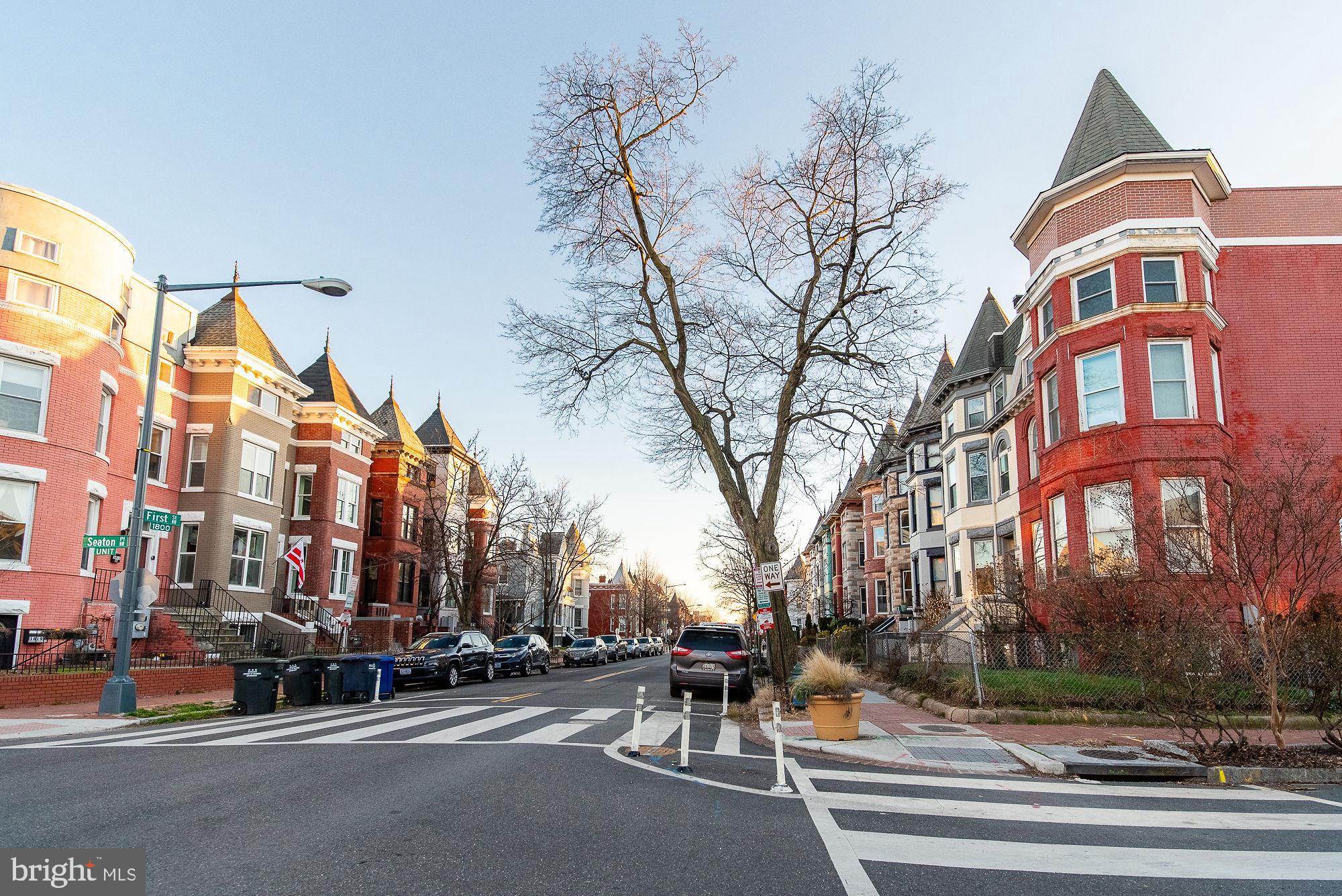 36 Channing Street Northwest, Unit A Washington, DC 20001 - Photo 31 of 33 a row of palm trees in front of a building