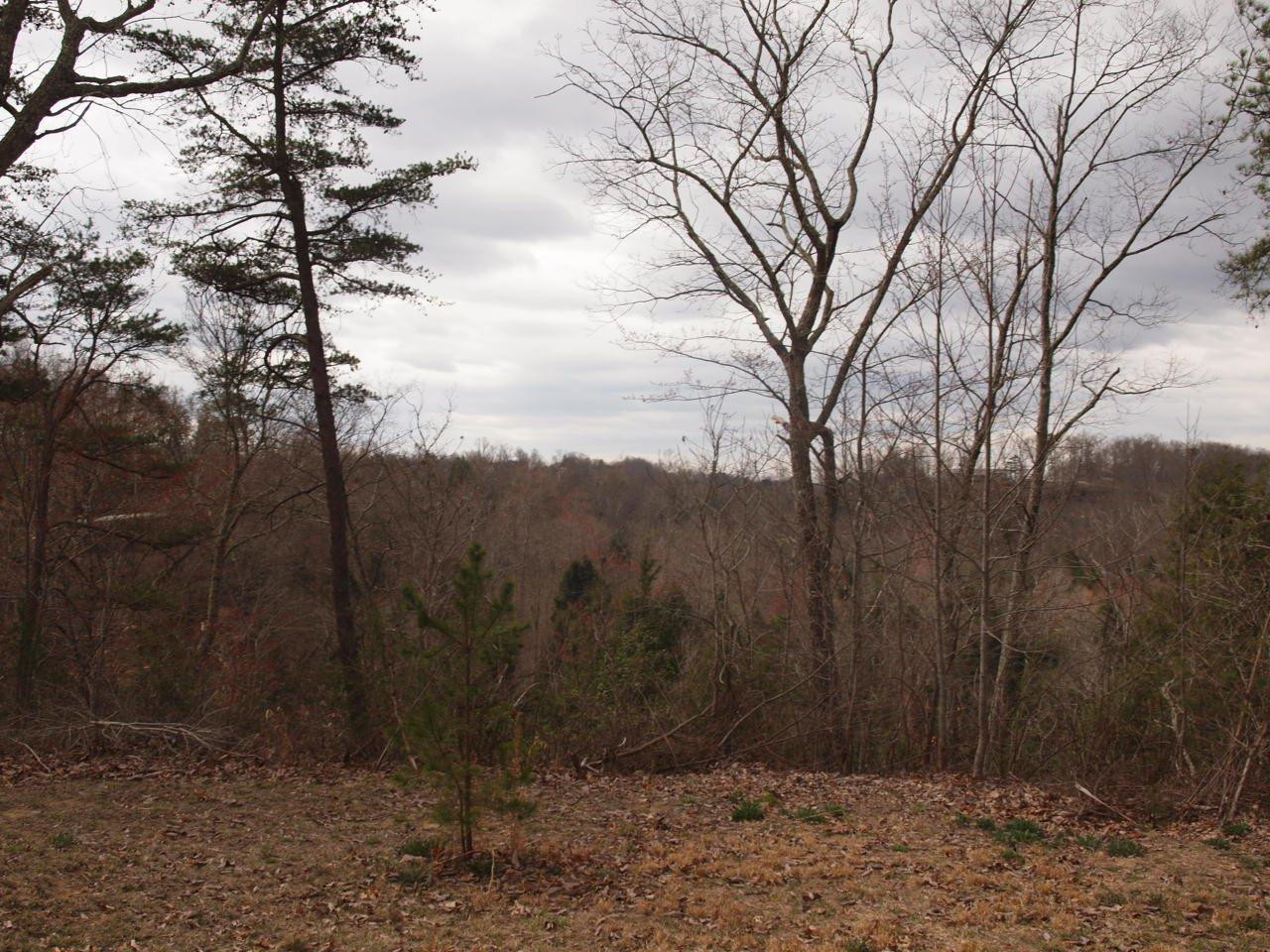 509 Hawk Ridge Road London, KY 40741 - Photo 7 of 19 Photo 7