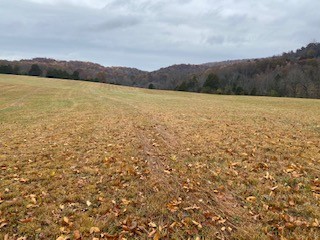 0 Clarence Gillen Road Sparta, TN 38583 - Photo 1 of 2 Gallery Image 1