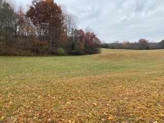0 Clarence Gillen Road Sparta, TN 38583 - Photo 2 of 2 Gallery Image 2
