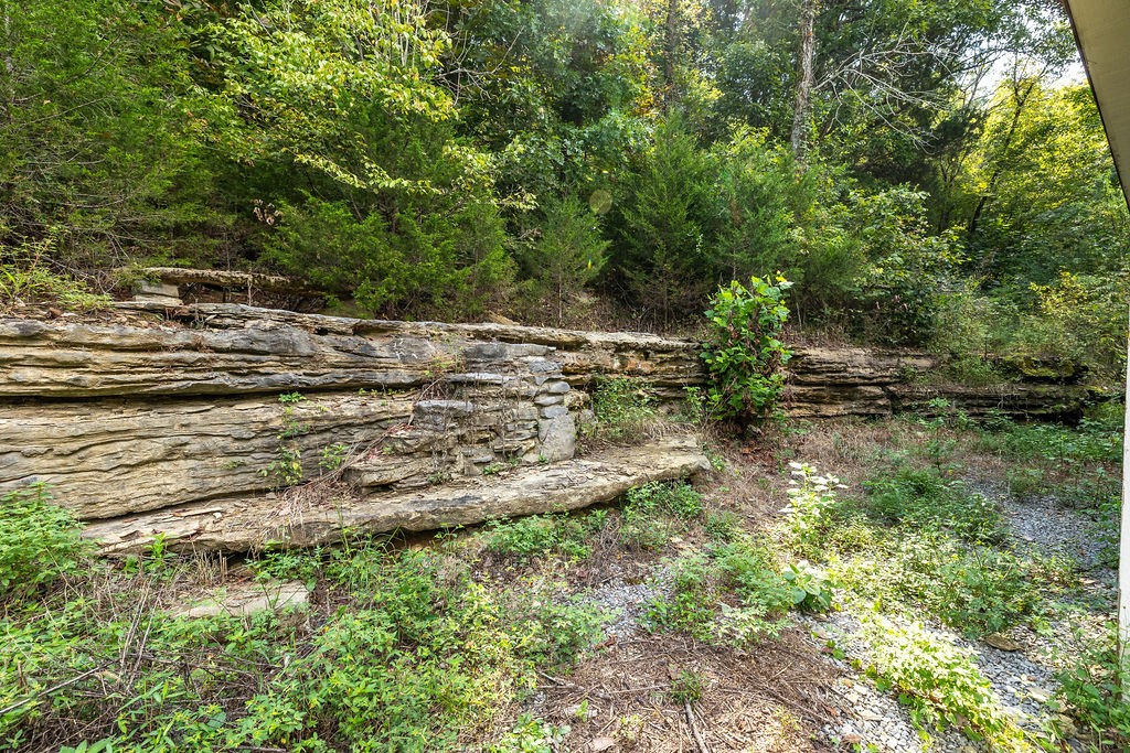 1236 Buckeye Road Fayetteville, TN 37334 - Photo 40 of 56