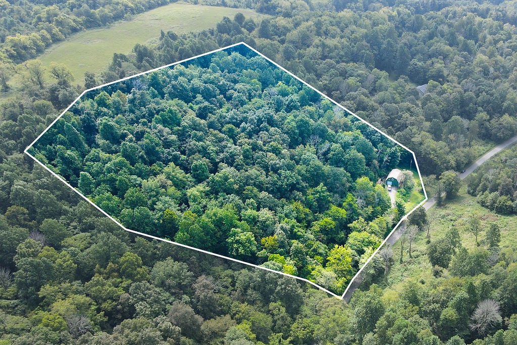 1236 Buckeye Road Fayetteville, TN 37334 - Photo 42 of 56