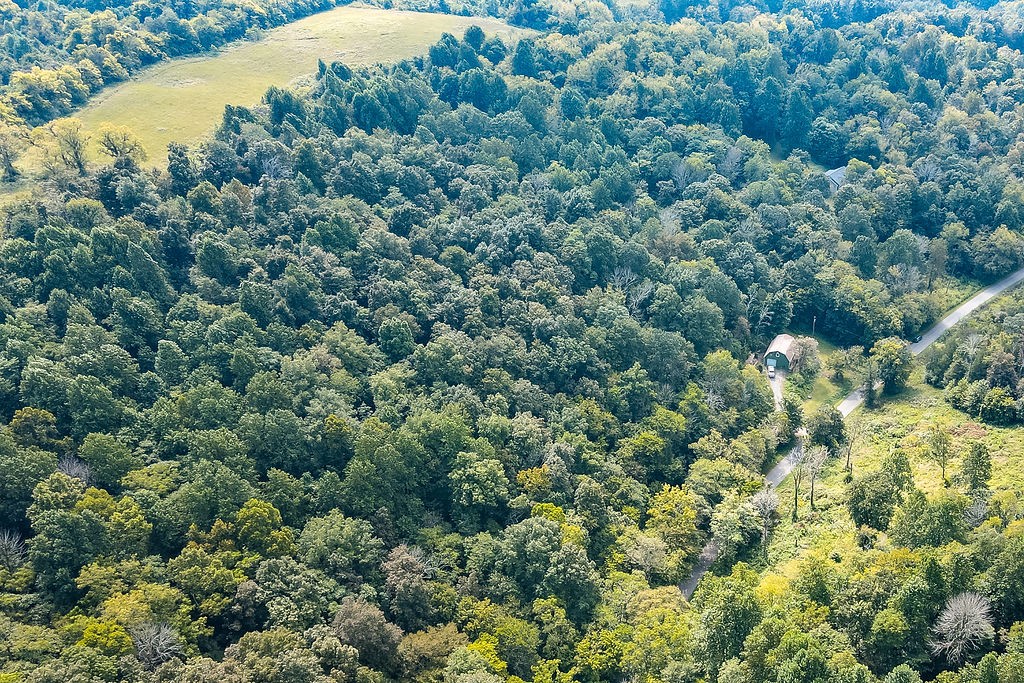 1236 Buckeye Road Fayetteville, TN 37334 - Photo 43 of 56