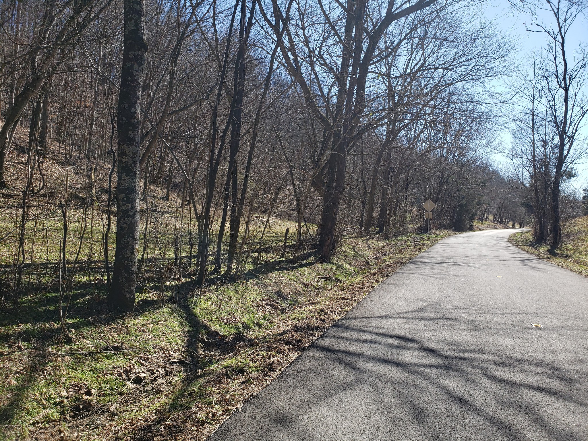 1236 Buckeye Road Fayetteville, TN 37334 - Photo 52 of 56