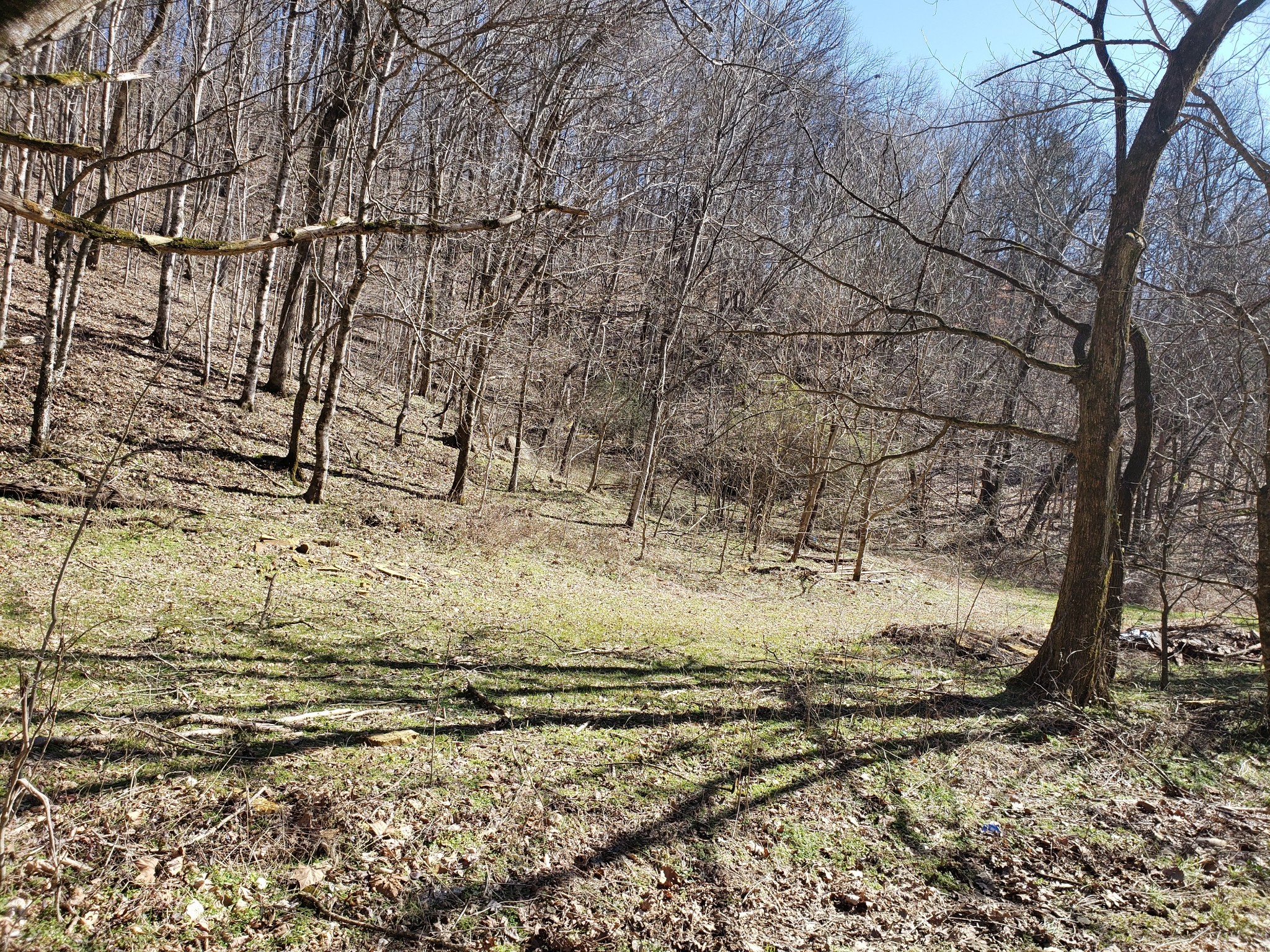 1236 Buckeye Road Fayetteville, TN 37334 - Photo 53 of 56