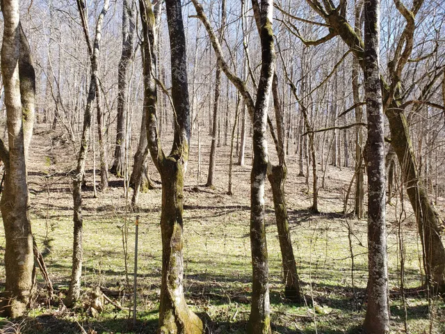 $239,000 | 1236 Buckeye Road, Fayetteville, TN 37334