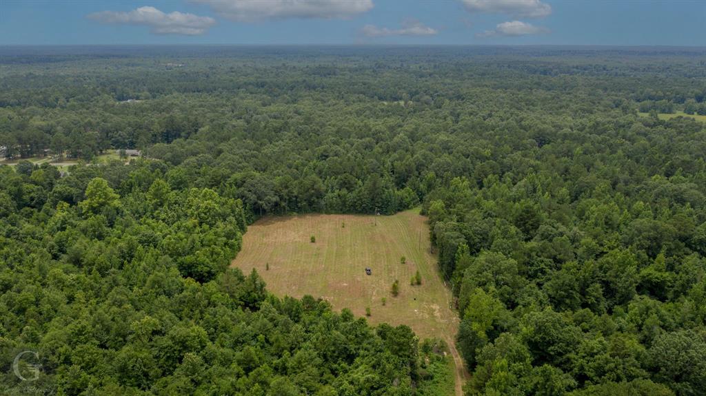 436 English Gloster, LA 71030 - Photo 2 of 13 a view of a field