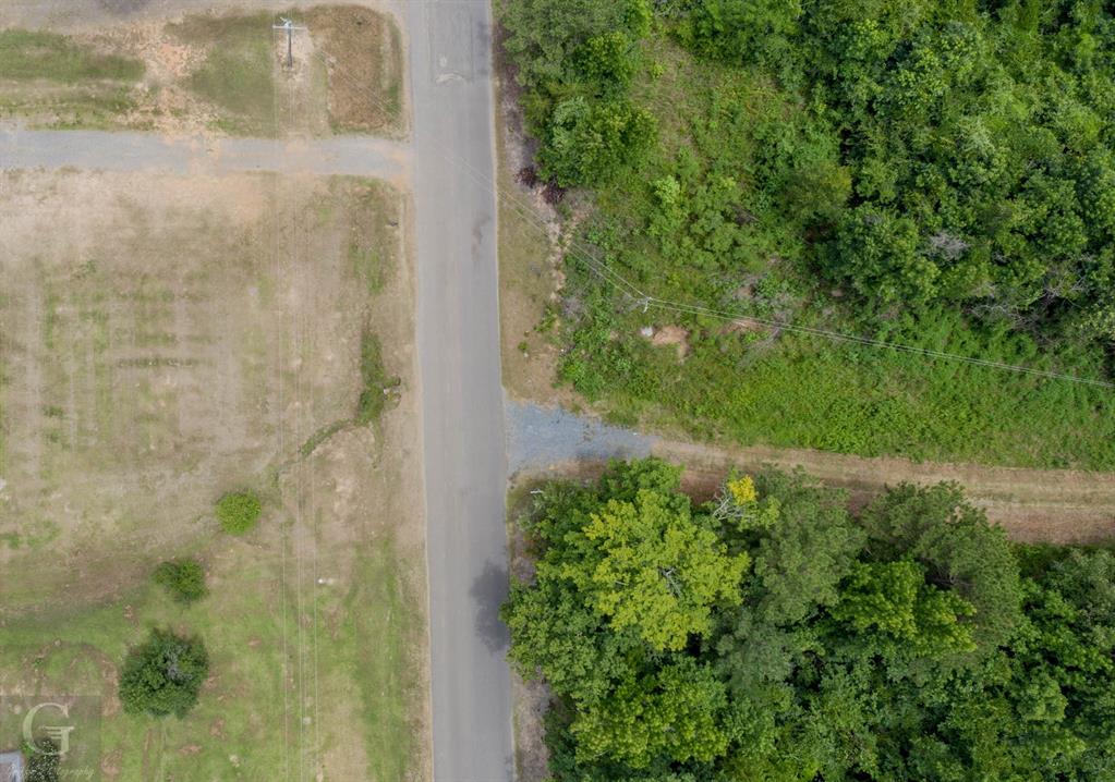 436 English Gloster, LA 71030 - Photo 5 of 13 a close up of a plant in a garden