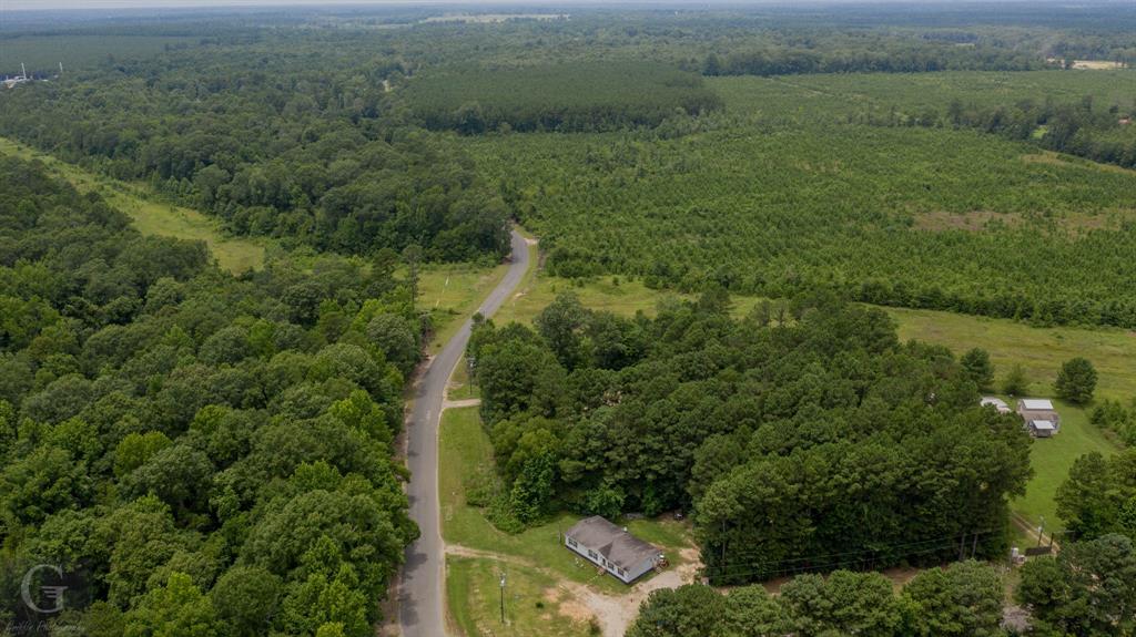 436 English Gloster, LA 71030 - Photo 7 of 13 a view of a forest with a street