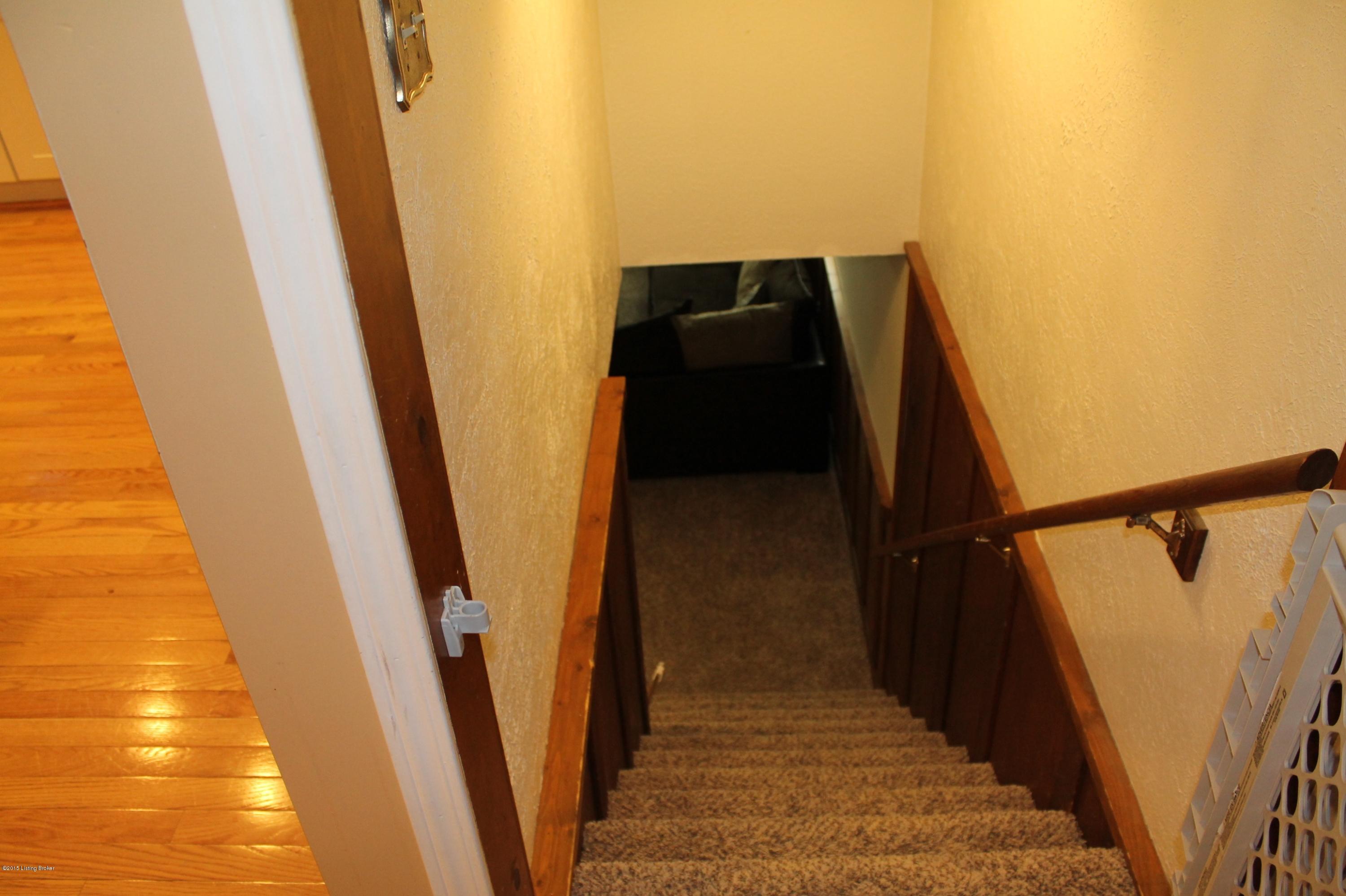 7805 Laurel Ridge Road Louisville, KY 40219 - Photo 37 of 77 Stairway to finished basement