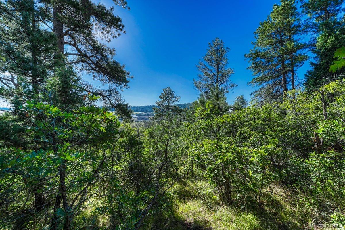 0 Columbine Road Larkspur, CO 80118 - Photo 8 of 37 Gallery Image 8