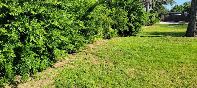 a view of a backyard with large trees