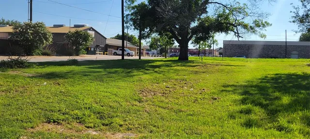 a view of a trees in a yard