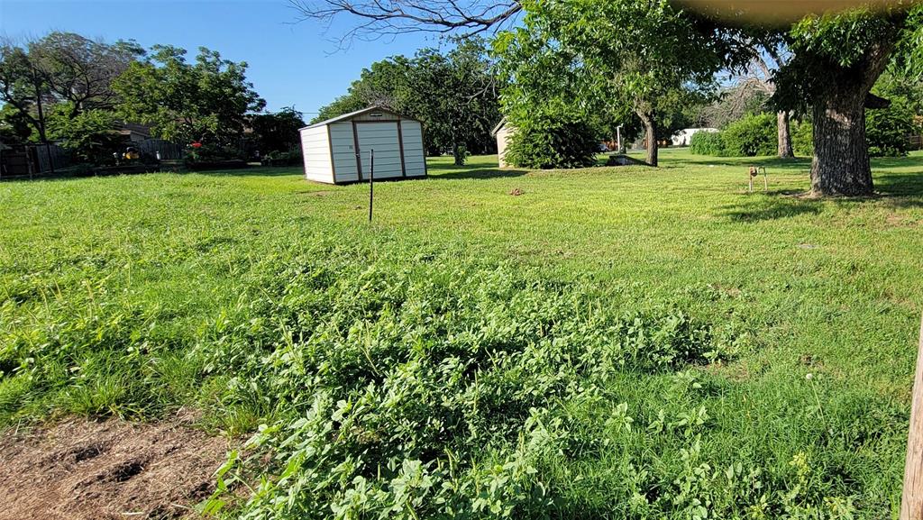 209 East 1st Street Springtown, TX 76082 - Photo 9 of 9 a view of a trees in a yard
