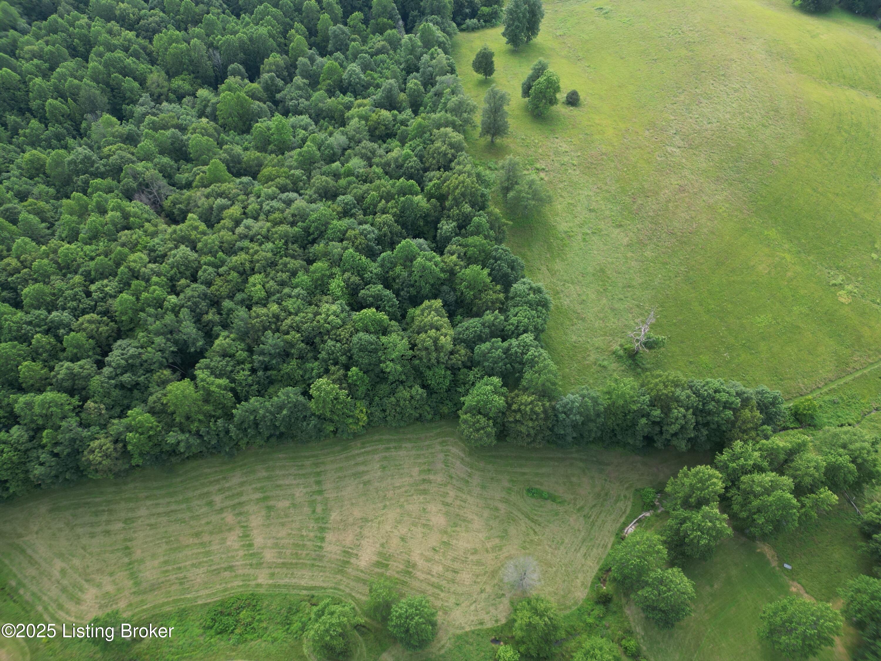 7 Attilla Road Buffalo, KY 42716 - Photo 4 of 9 dji_fly_20250630_180744_665_175123125177