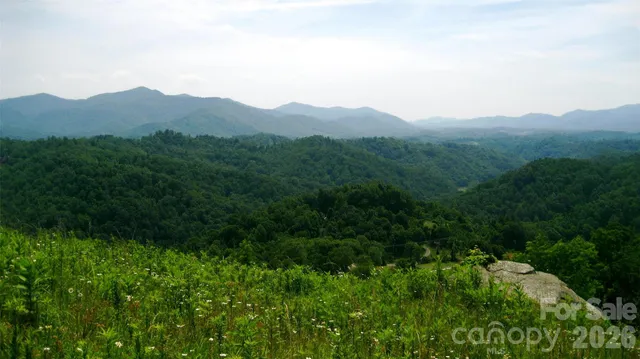 a view of a mountain range with lush green forest