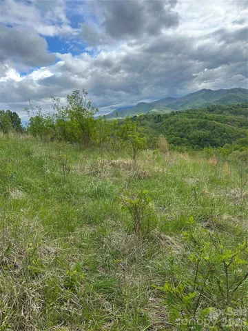 a view of a green field with plants in the background