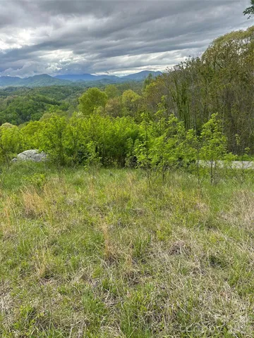 a view of a yard with an outdoor space