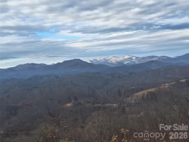 a view of city and mountain