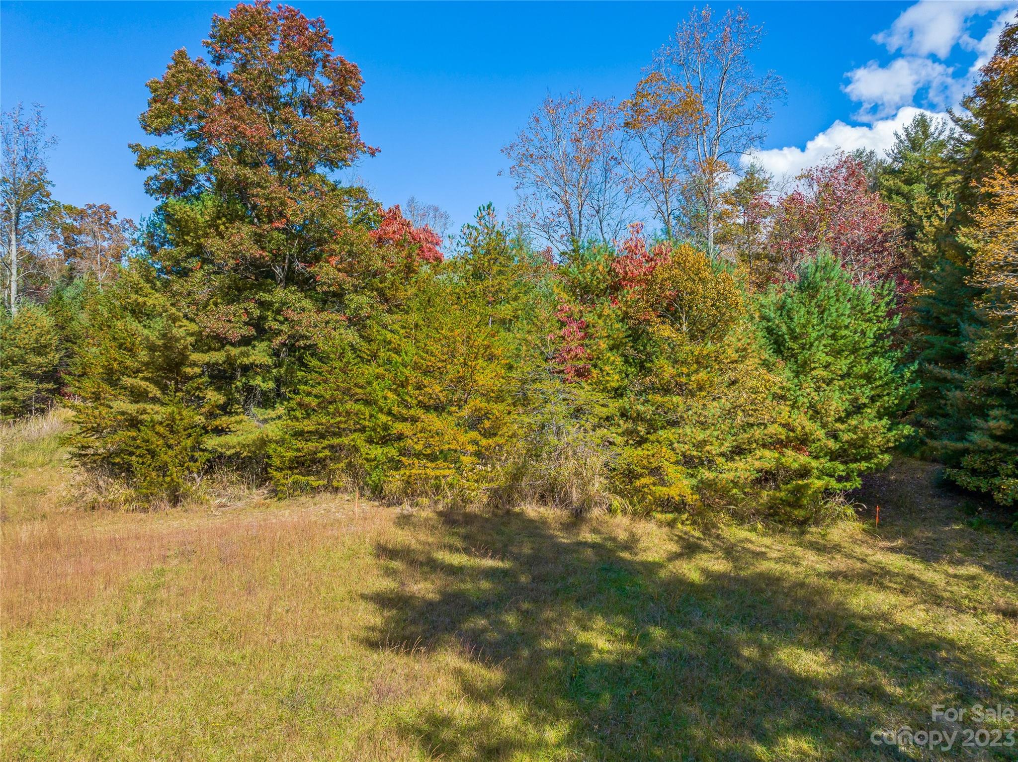 Tbd Lance Road Asheville, NC 28803 - Photo 11 of 40 Gallery Image 11
