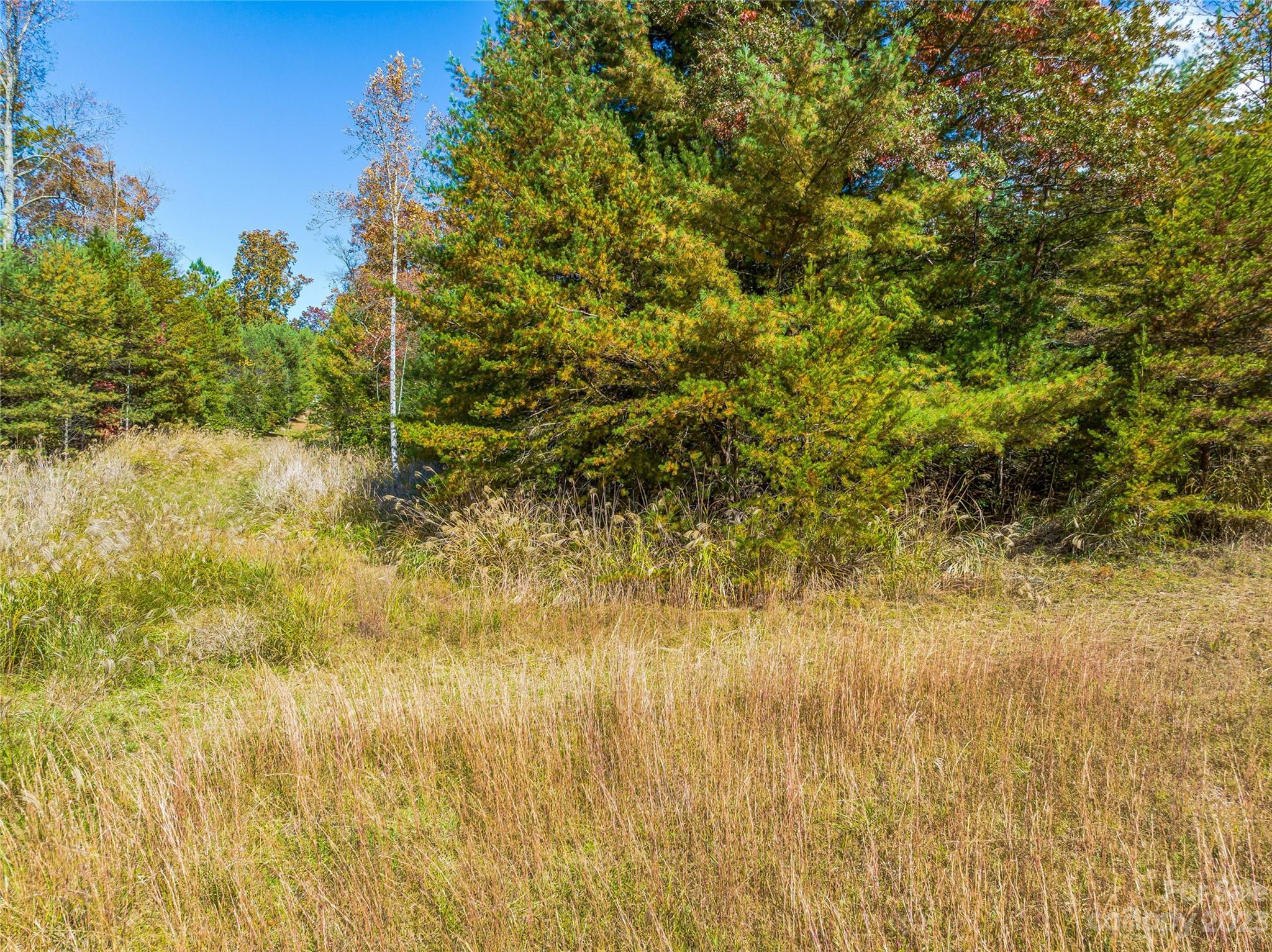 Tbd Lance Road Asheville, NC 28803 - Photo 12 of 40 Gallery Image 12