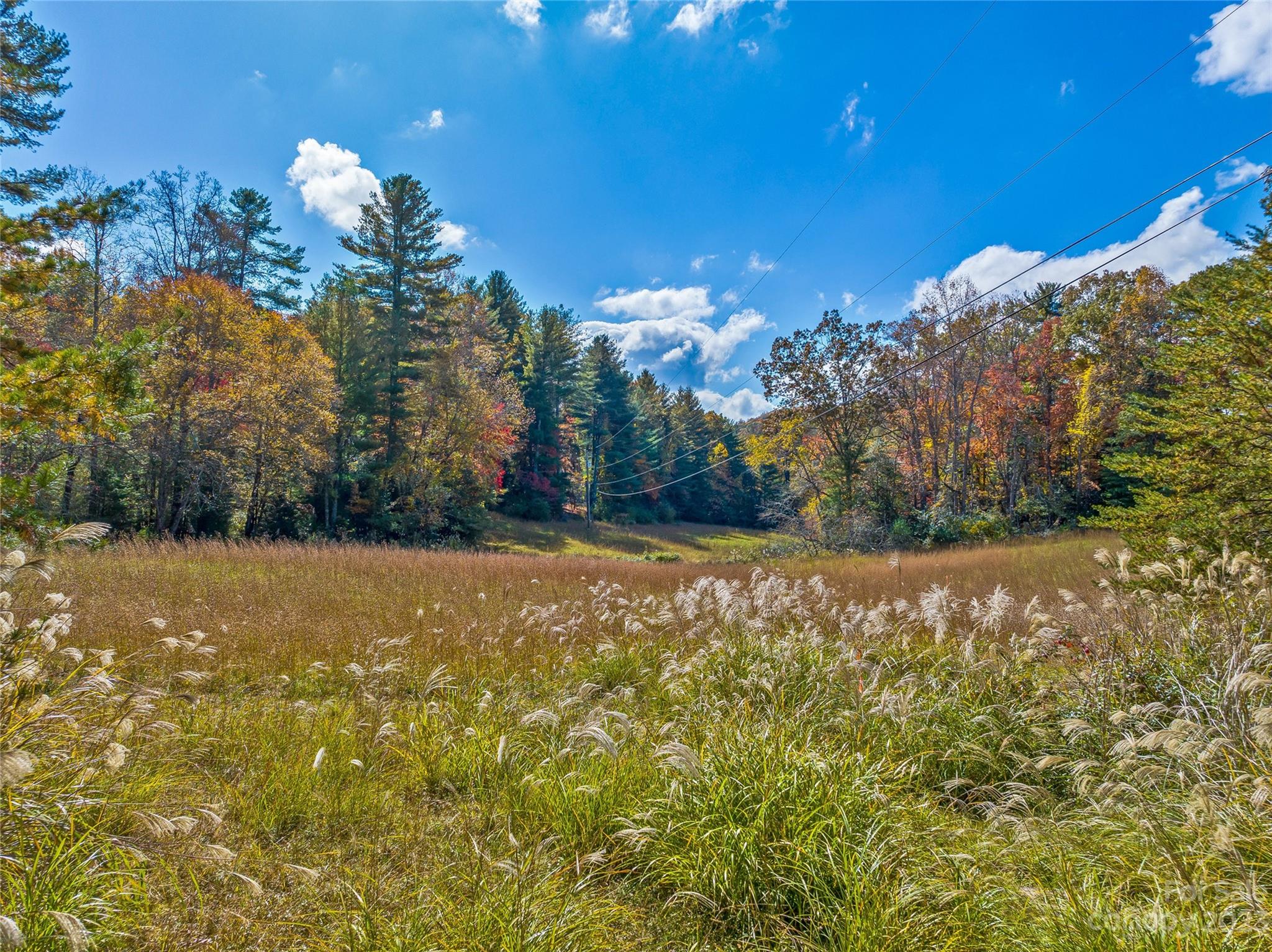 Tbd Lance Road Asheville, NC 28803 - Photo 3 of 40 Gallery Image 3