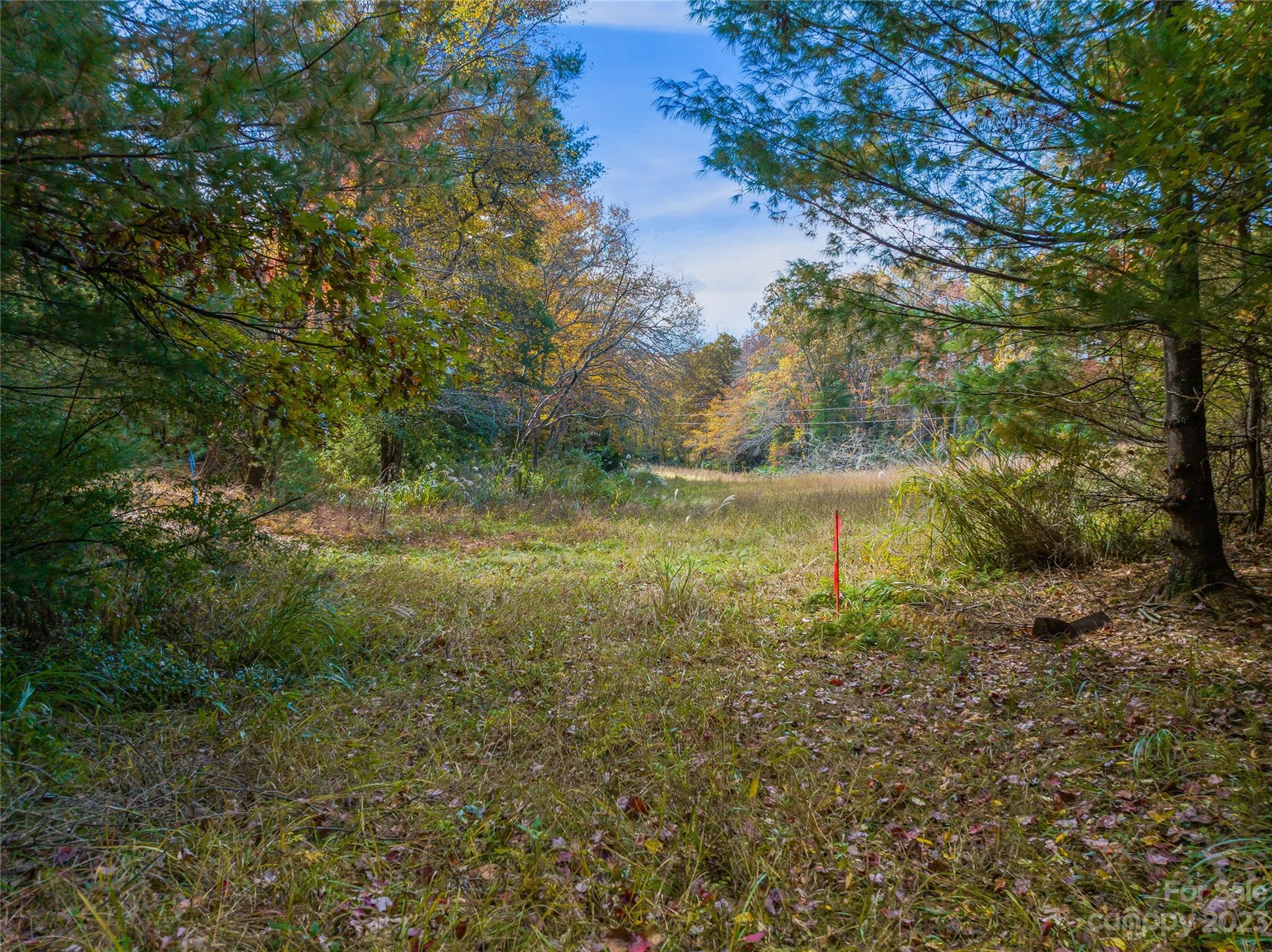 Tbd Lance Road Asheville, NC 28803 - Photo 5 of 40 Gallery Image 5