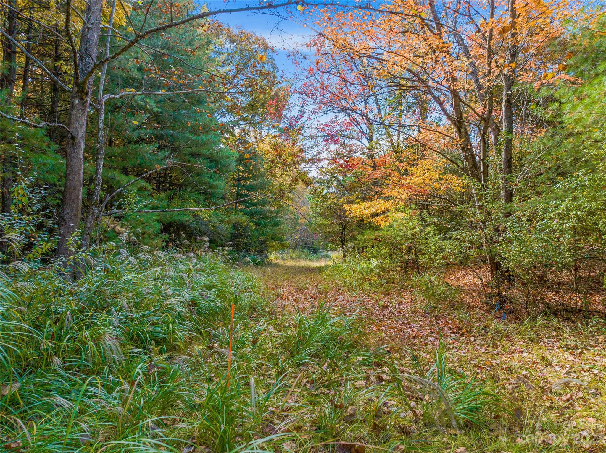 Tbd Lance Road Asheville, NC 28803 - Photo 7 of 40 Gallery Image 7