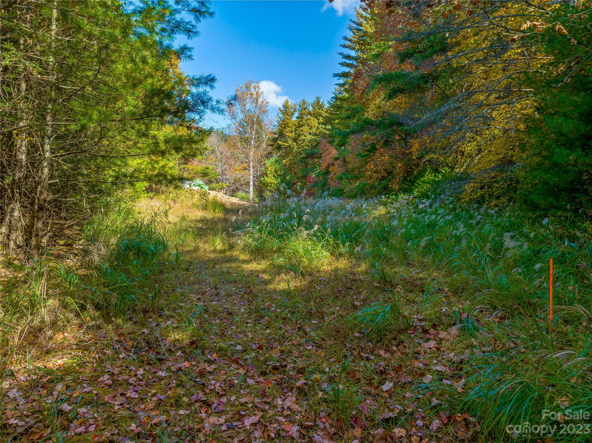 Tbd Lance Road Asheville, NC 28803 - Photo 8 of 40 Gallery Image 8