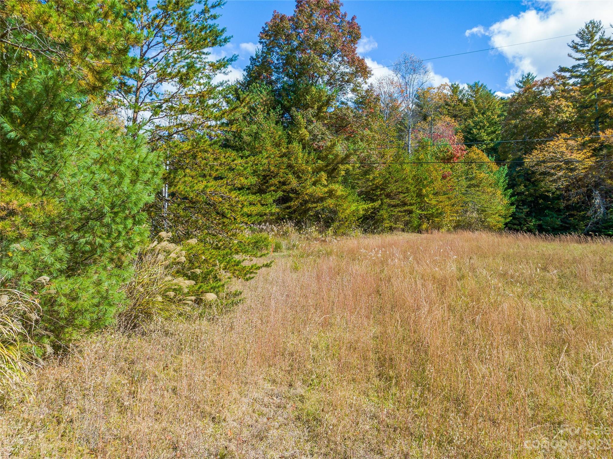 Tbd Lance Road Asheville, NC 28803 - Photo 10 of 40 Gallery Image 10