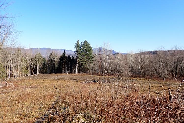 0 Creager Road Enosburg Falls, VT 05450 - Photo 3 of 17 Gallery Image 3