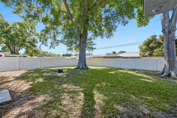 a view of a backyard with a tree