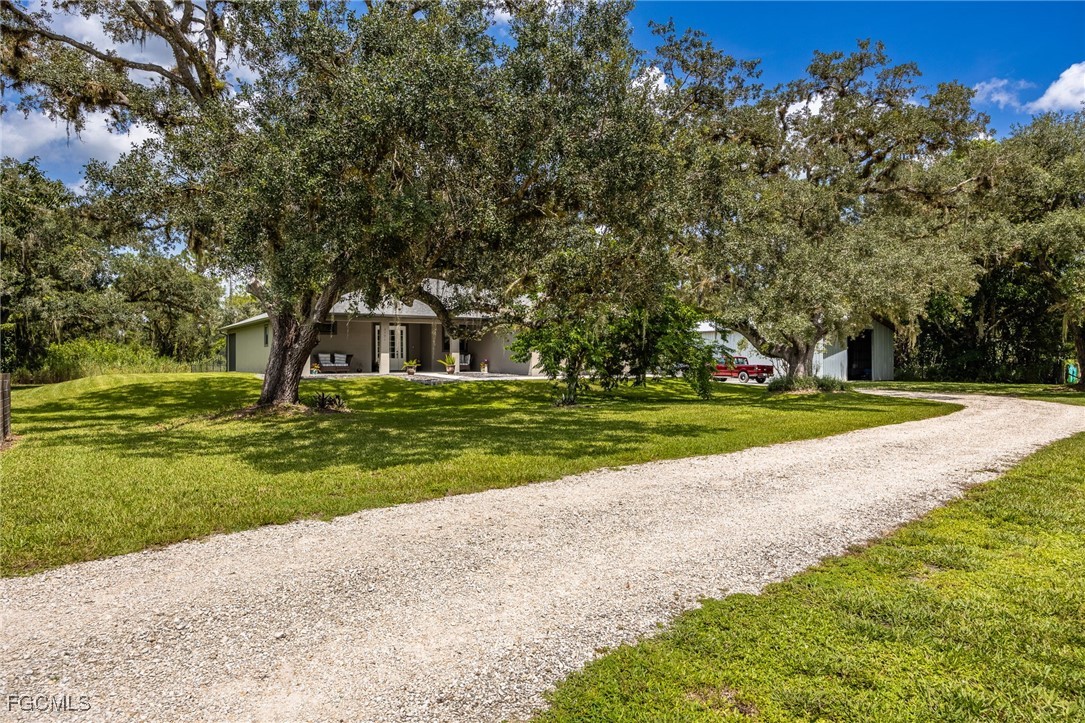 2391 Lippincott Road Alva, FL 33920 - Photo 4 of 50 a view of a house with a big yard and potted plants and large trees