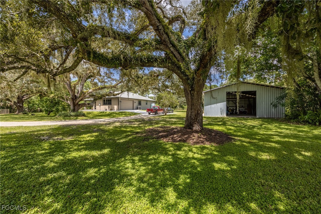2391 Lippincott Road Alva, FL 33920 - Photo 7 of 50 a front view of house with yard and green space