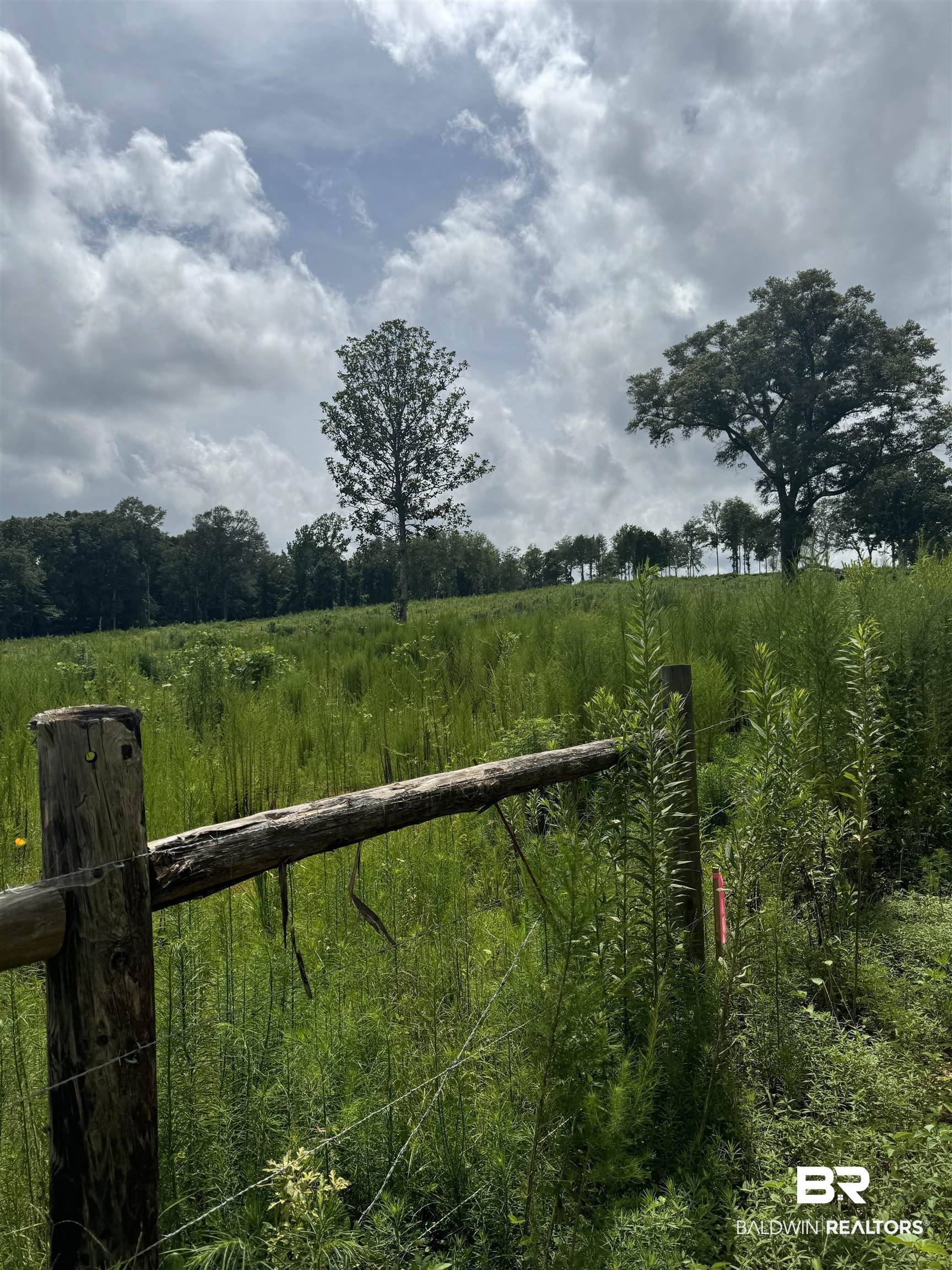 0 Deer Creek Road Monroeville, AL 36460 - Photo 10 of 19 Exterior space featuring a rural view