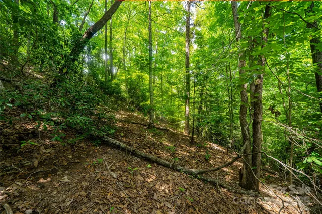 $59,999 | 0 Foster Hill Drive, Unit 3, Hendersonville, NC 28739